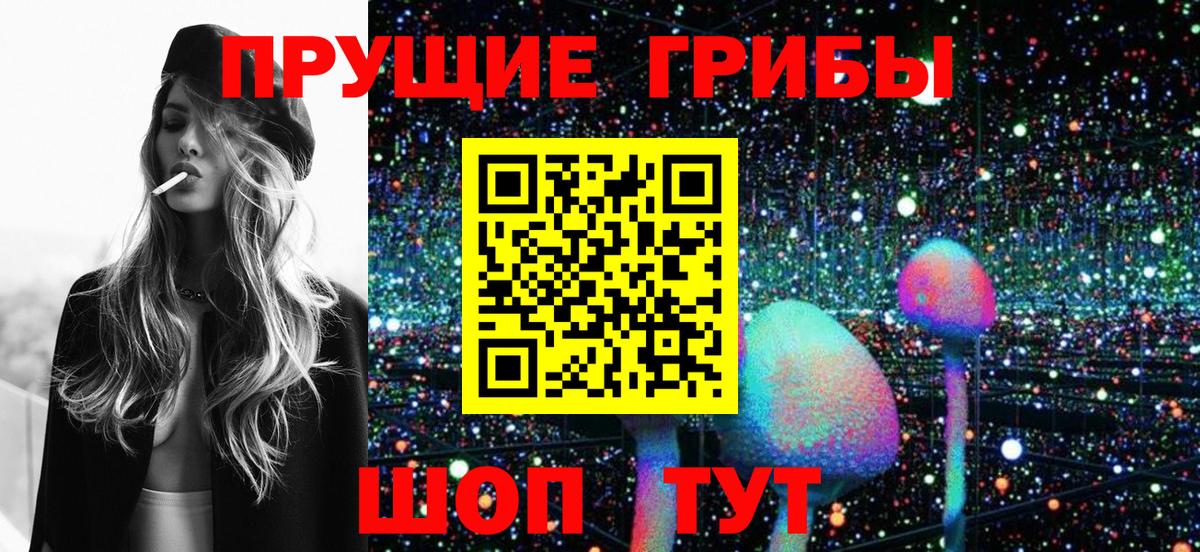 Галлюциногенные грибы ЛСД  Вход с VPN  купить наркоту  Сертолово 