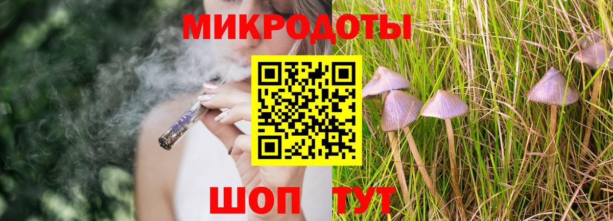 Галлюциногенные грибы Psilocybine cubensis Сертолово